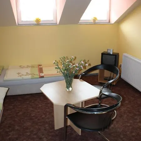 Guest house Lionetta Frantiskovy Lazne