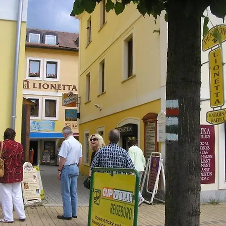 Lionetta Гостевой дом 3*